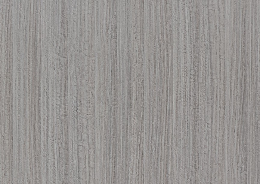 F-A232北美尤加利